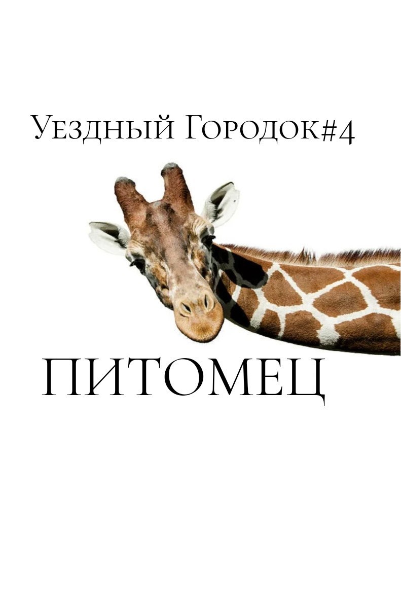 Уездный Городок#4: Питомец
