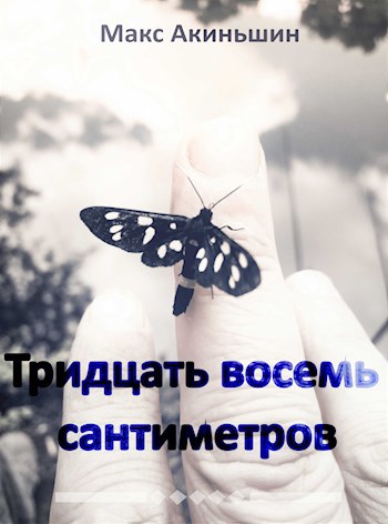 Тридцать восемь сантиметров