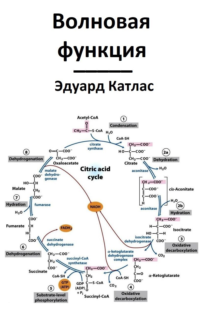 Волновая функция