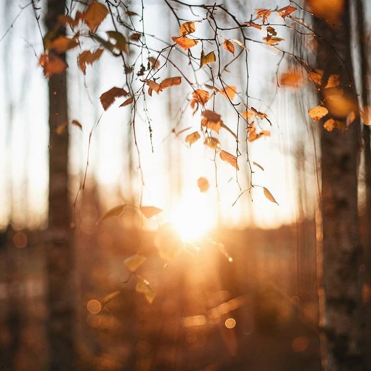 Нежно и тревожно