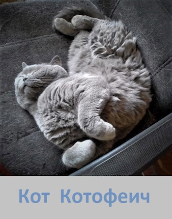 Кот Котофеич