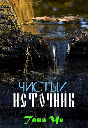 Чистый источник