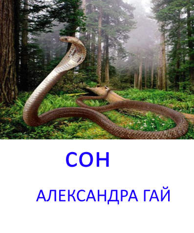 Сон