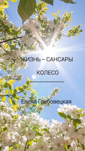 Жизнь - сансары колесо