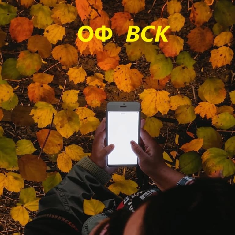 ОФ ВСК