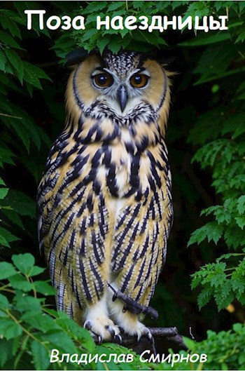 Поза наездницы