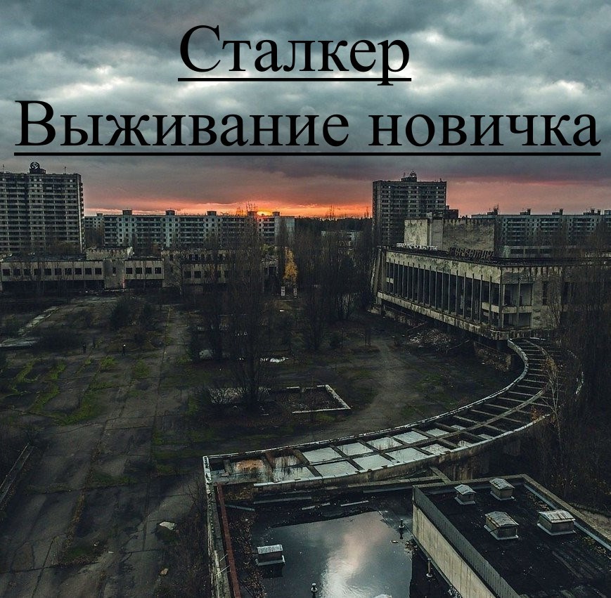 Сталкер. Выживание новичка