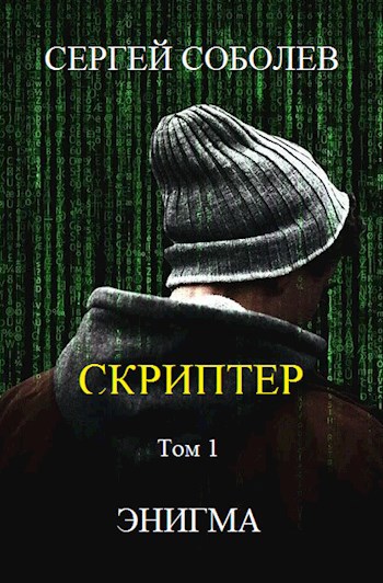 Скриптер. Том 1. Энигма