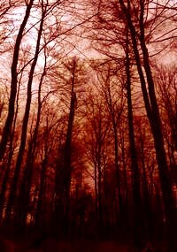 Невыносимо. Две истории.