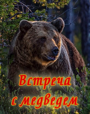 Встреча с медведем