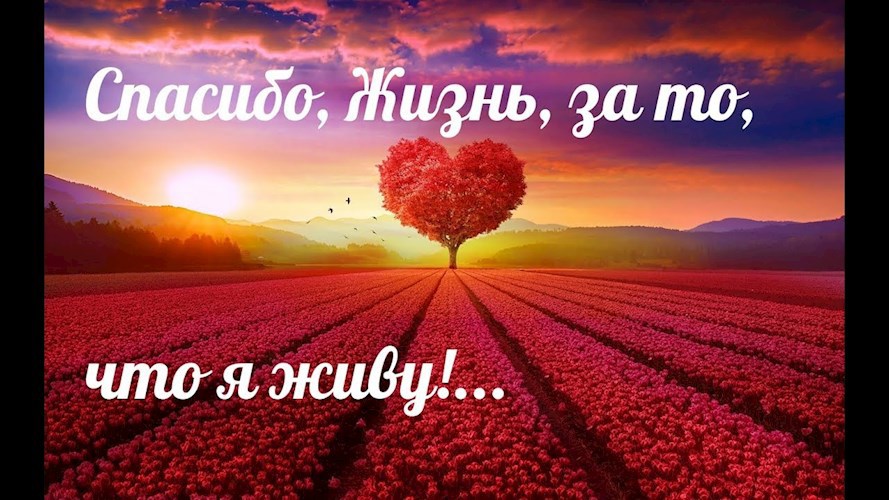Спасибо, Жизнь!..