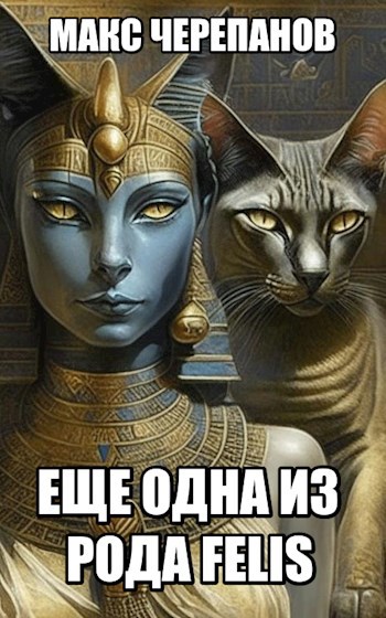 Еще одна из рода Felis