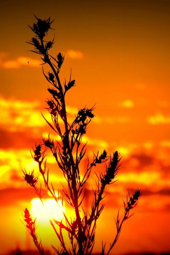 ᴏᴠᴇʀᴄᴏᴍᴇ