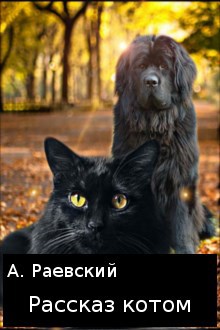 Рассказ котом