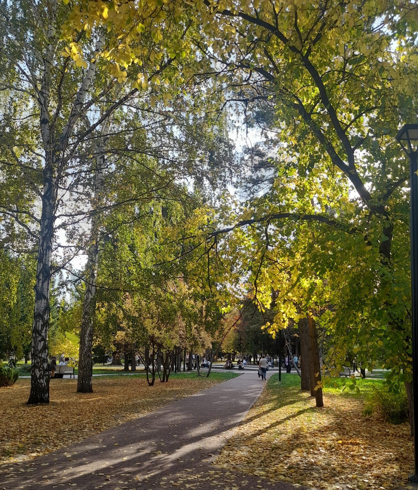 Подружились осень с летом...