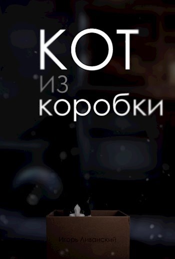 Кот из коробки