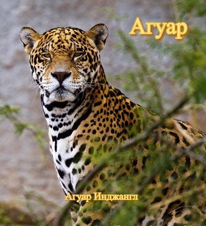 Агуар