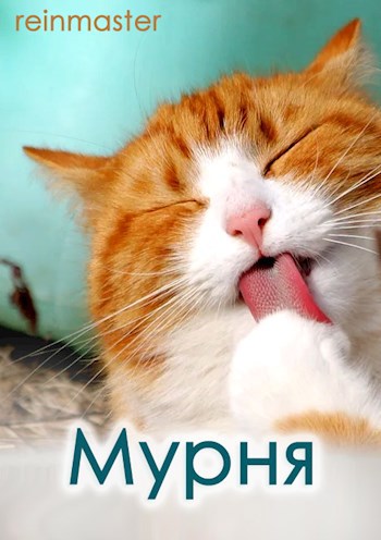 Мурня