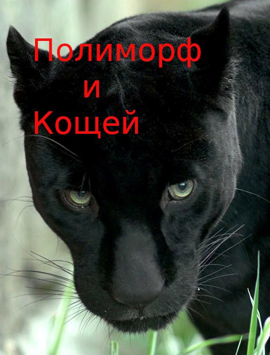 Сказка пятая. Про Кощея и полиморфа