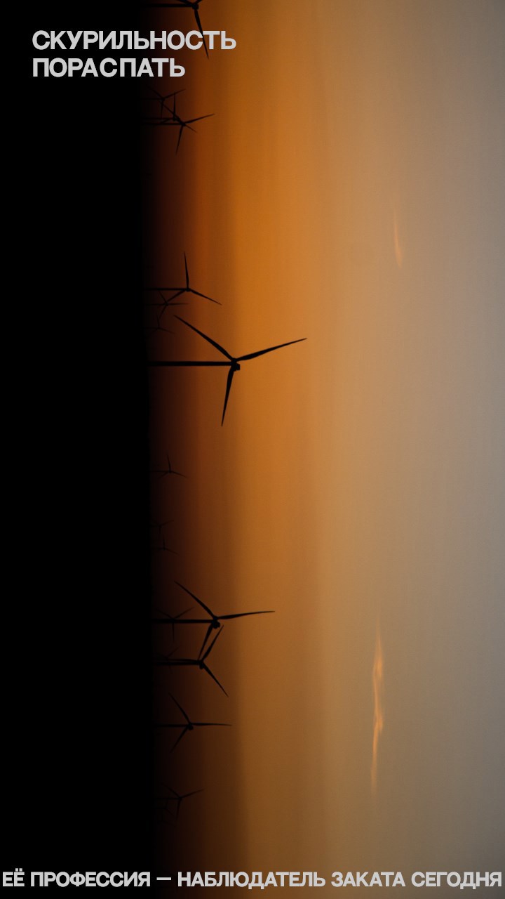 Скурильность. Пора спать