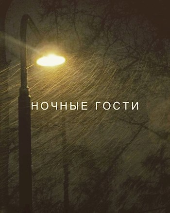 Ночные гости