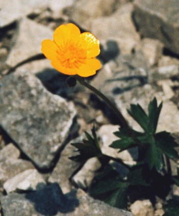 О добре и зле.