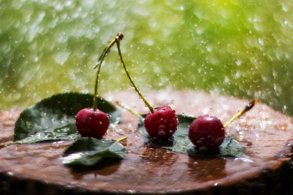 То что приносит счастье