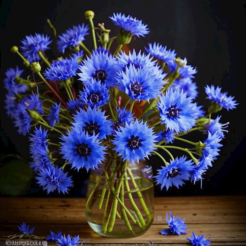 Какой удачный был провал