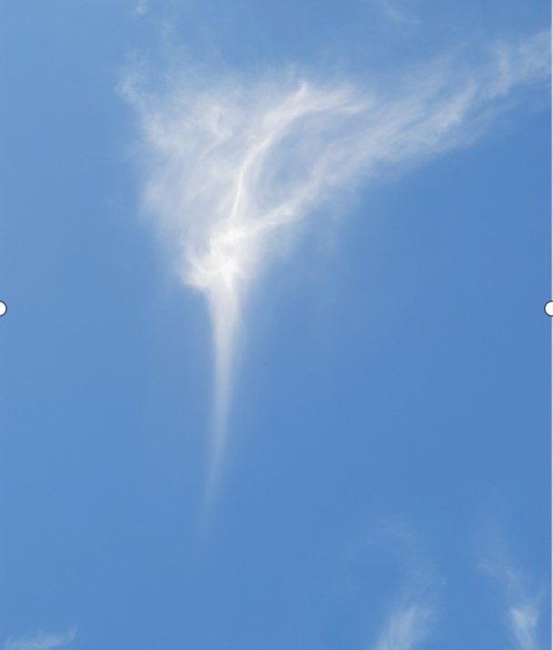 ... Наши страстные печали над таинственной Невой...