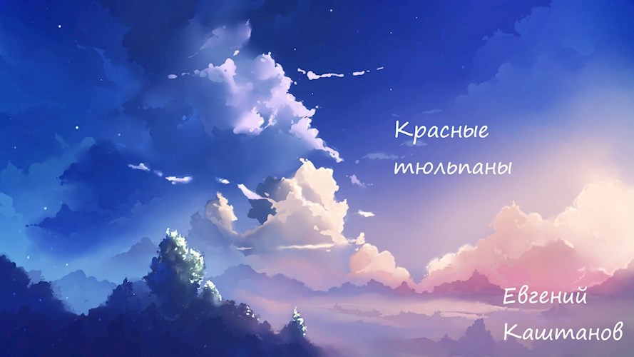 Красные тюльпаны