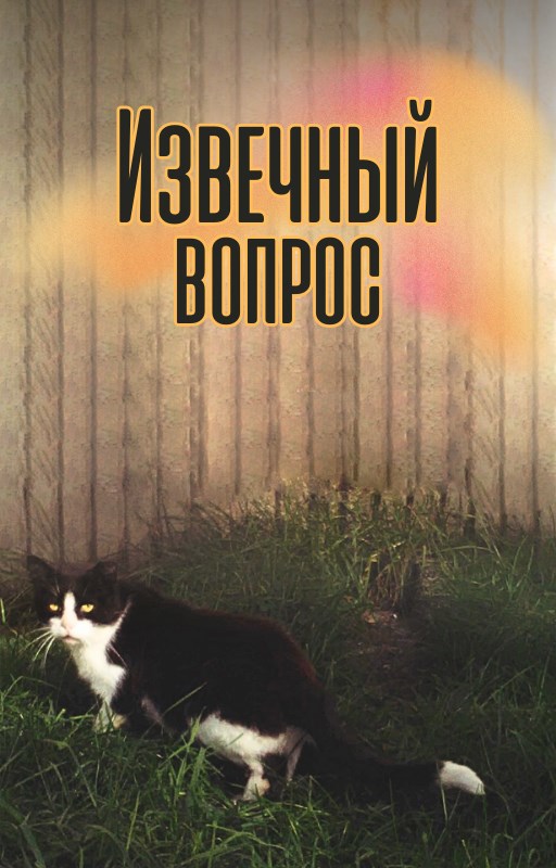 Извечный вопрос