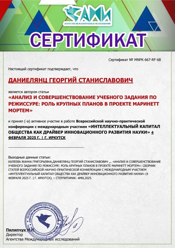Анализ и совершенствование учебного задания по режиссуре: роль крупных планов в проекте Маринетт Мортем