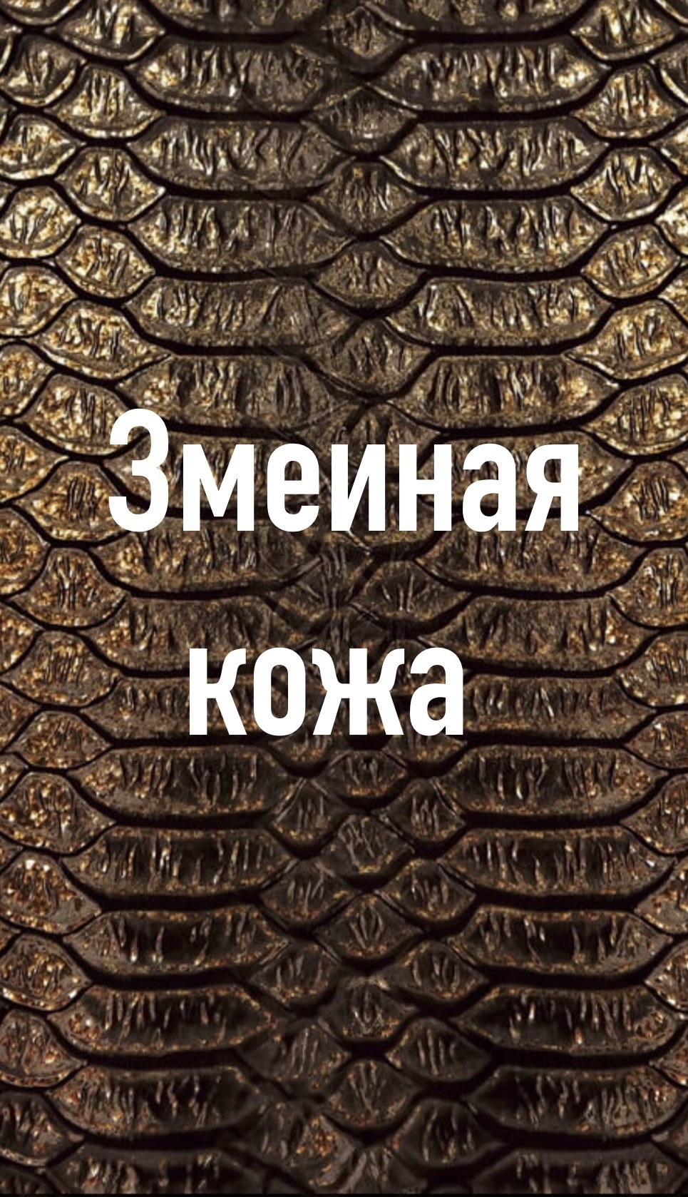 Змеиная кожа