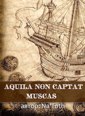 Aquila non captat muscas