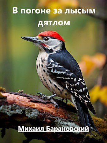 В погоне за лысым дятлом