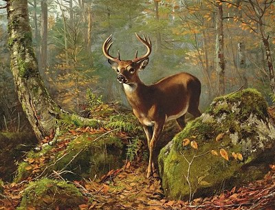 Эксперимент