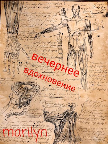 Вечернее вдохновение