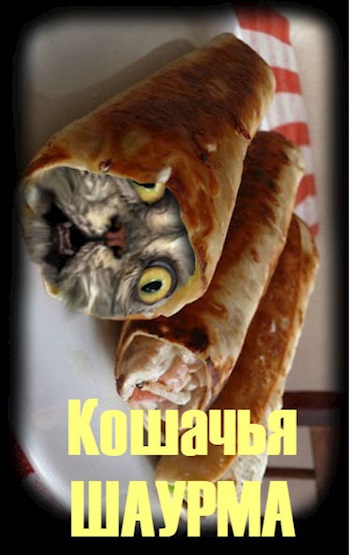КОШАЧЬЯ ШАУРМА. СЦЕНАРНАЯ ЗАЯВКА. АВТОР:Беата Грушковская