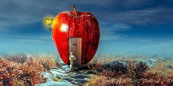 Сборник сюрреалистических стихов &quot;Электрический кот&quot;