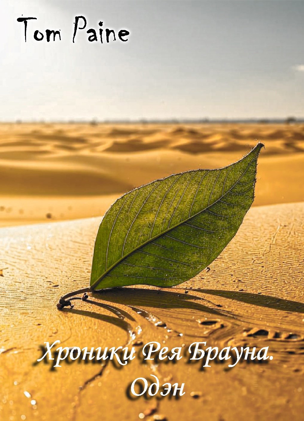 Хроники Рея Брауна. Одэн