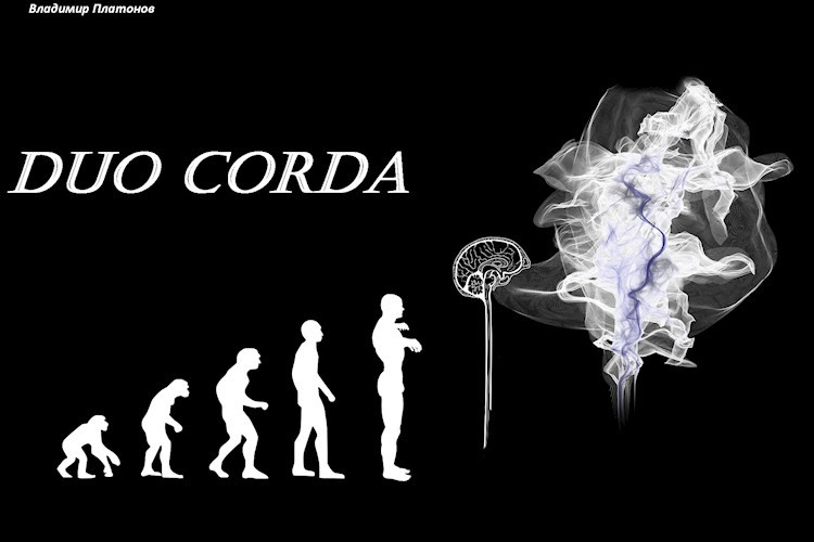 Duo corda