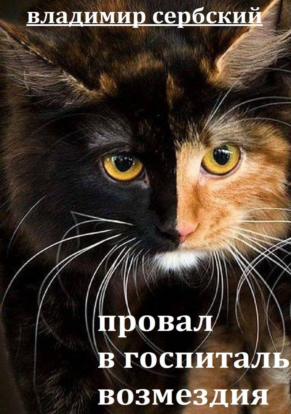 Провал в госпиталь возмездия