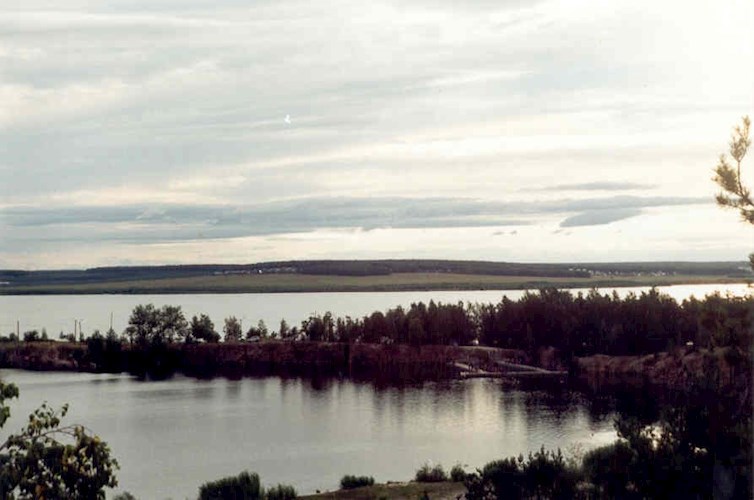 Поющий жаворонок
