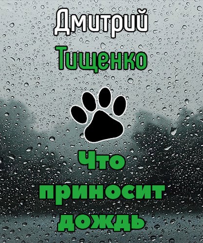 Что приносит дождь