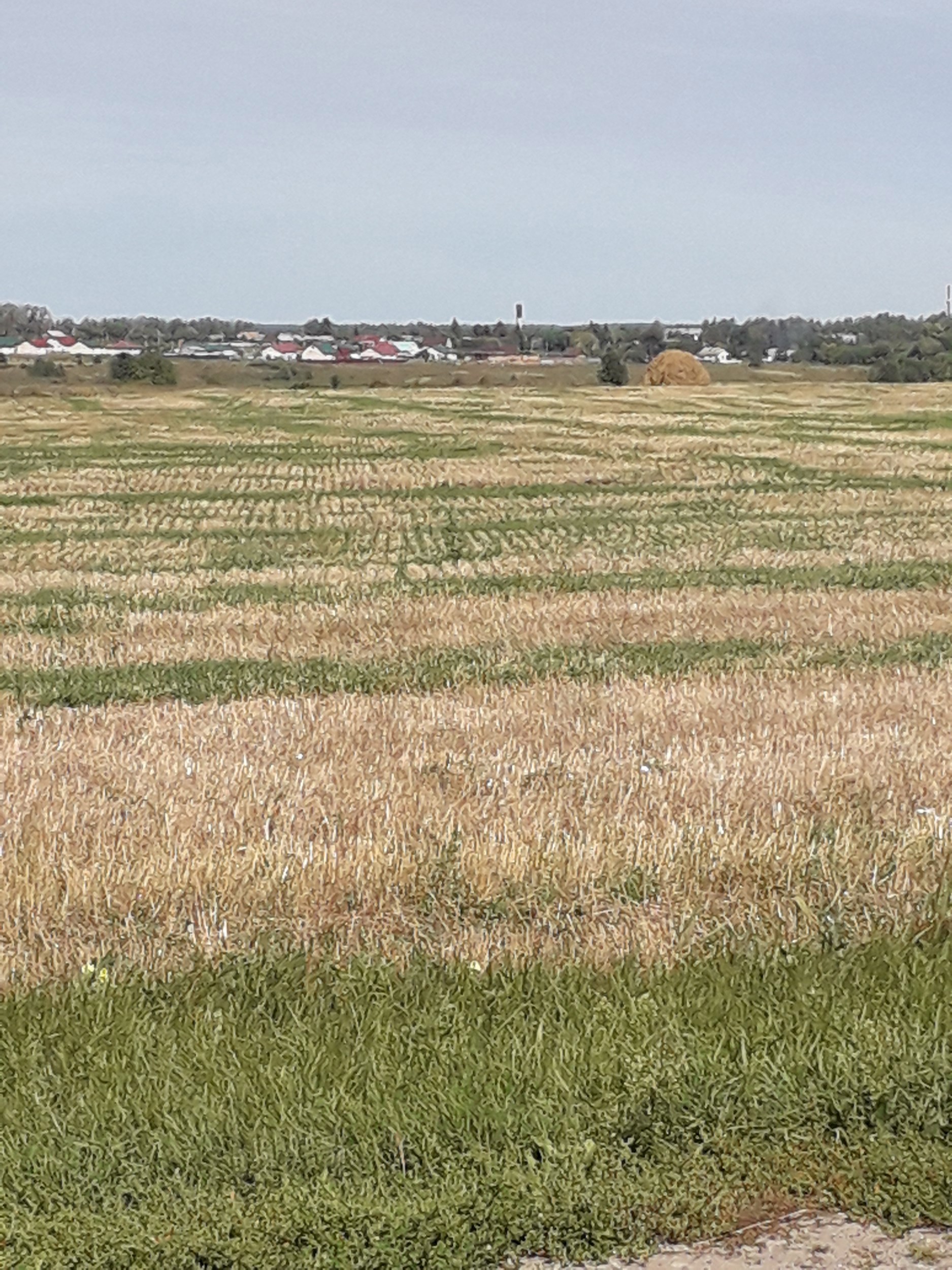 Гениальность второе имя.