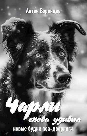 Чарли снова удивил новые будни пса дворняги