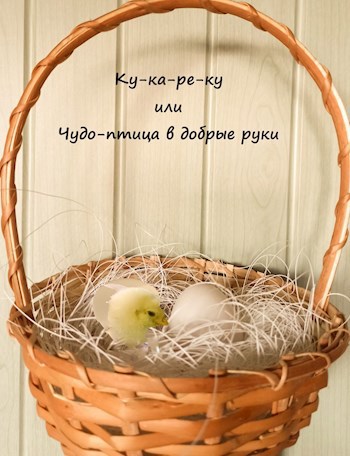 Ку-ка-ре-ку или Чудо-птица в добрые руки.