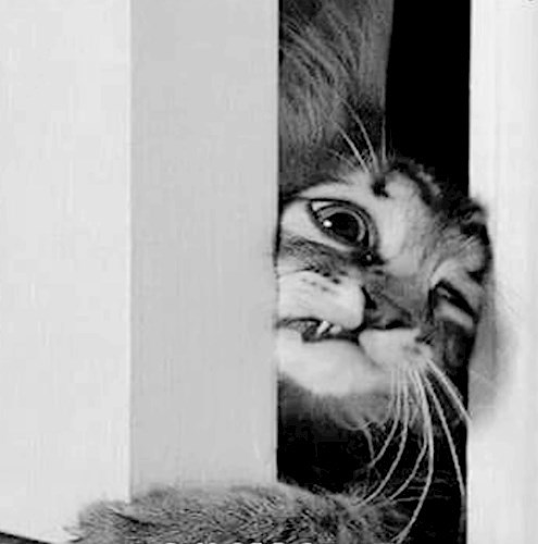 Письма из ниоткуда письма в никуда