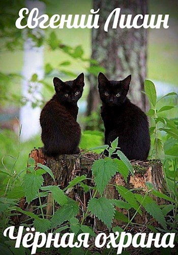 Чёрная охрана