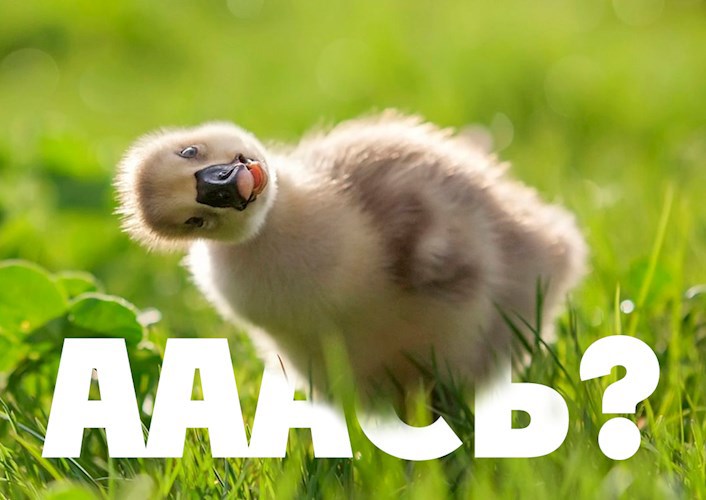 Новые привычки